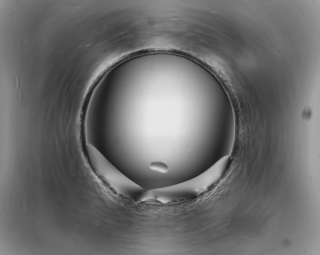 X0000098231183200804241334