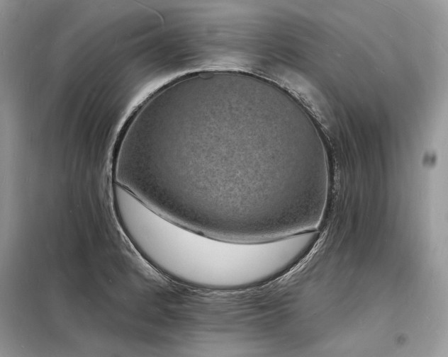 X0000098231184200804241333