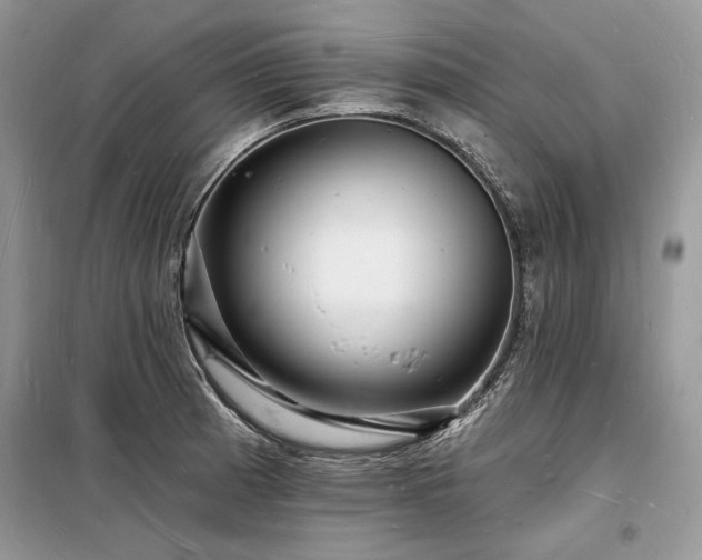 X0000098231185200804241333