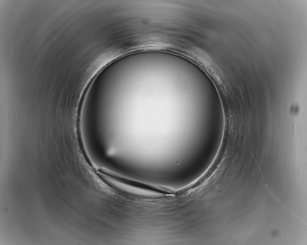 X0000098231186200804241333