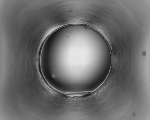X0000098231187200804241333