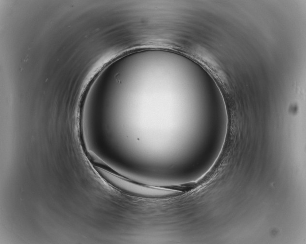 X0000098231188200804241333