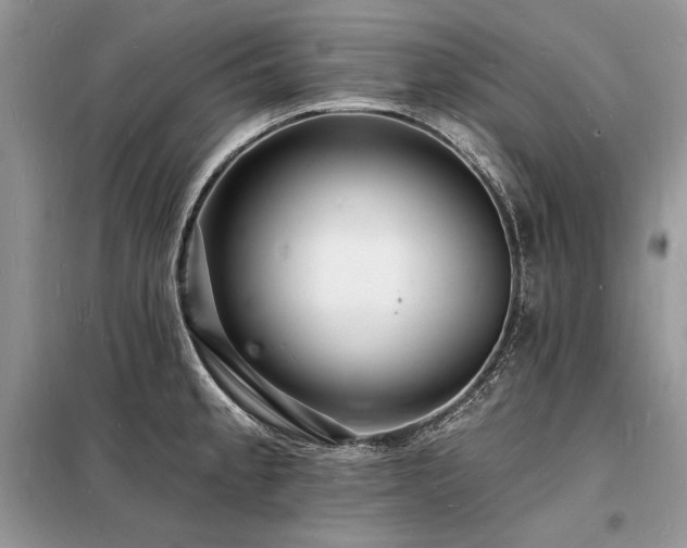X0000098231189200804241333
