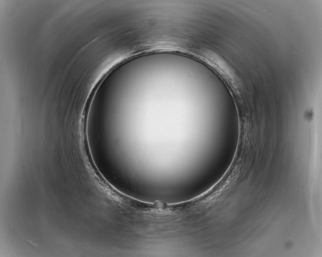 X0000098231190200804241333