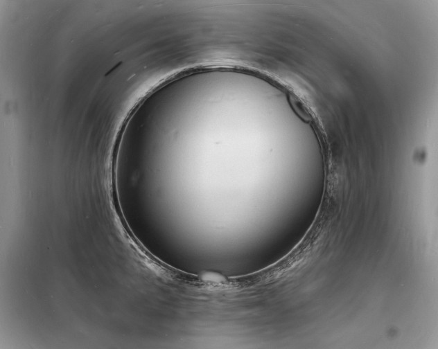 X0000098231191200804241333