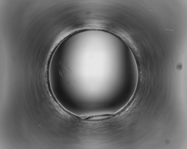X0000098231192200804241333