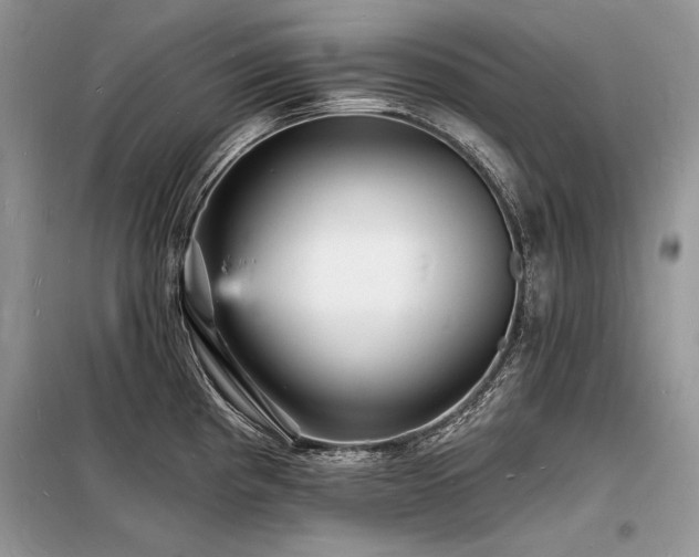 X0000098231193200804241333