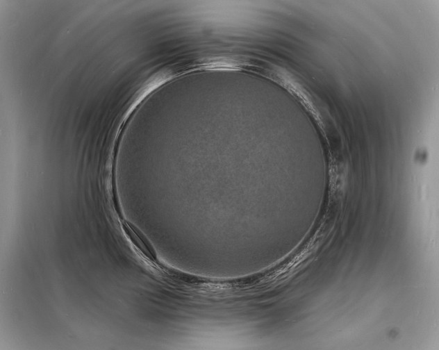 X0000098231194200804241333