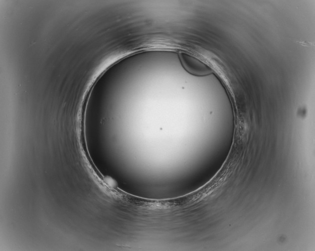 X0000098231195200804241333
