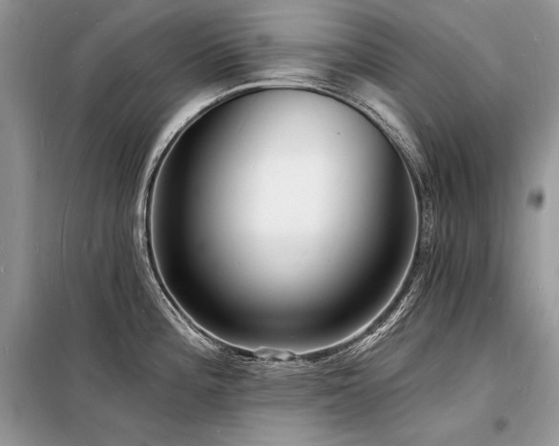 X0000098231196200804241333
