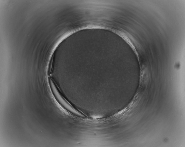 X0000098231197200804241333
