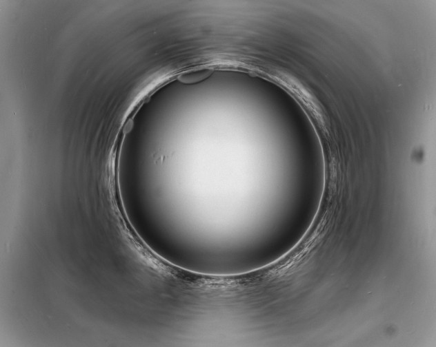 X0000098231198200804241333