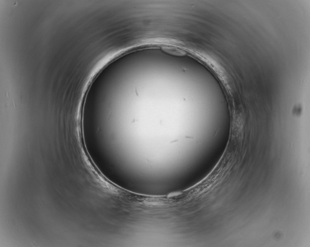 X0000098231199200804241333