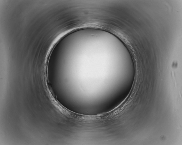 X0000098231200200804241333