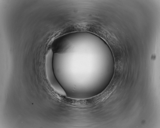 X0000098231201200804241333