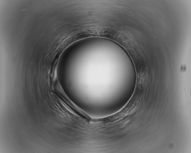 X0000098231202200804241333