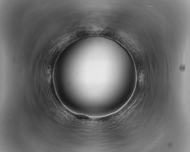 X0000098231204200804241333