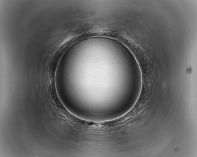 X0000098231206200804241333