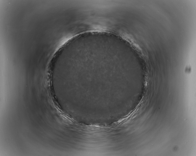 X0000098231208200804241333