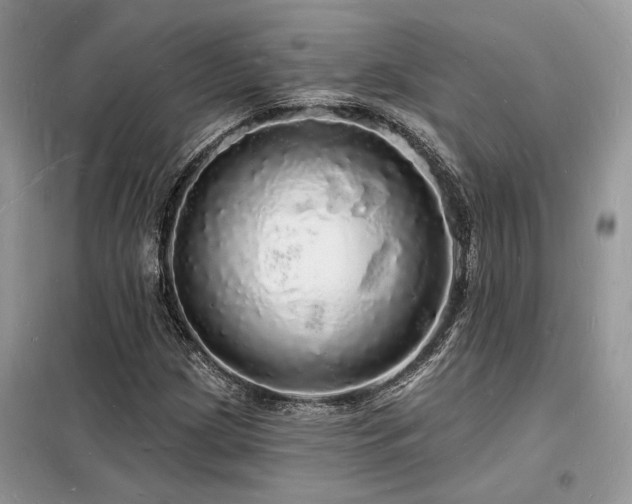 X0000098231209200804241333