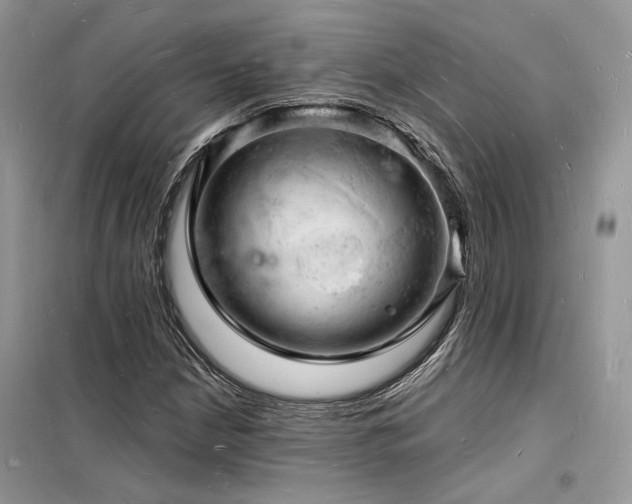 X0000098231210200804241333