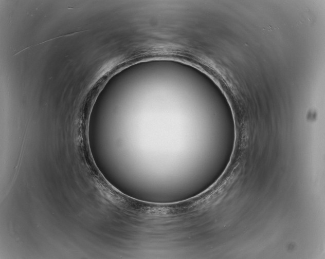 X0000098231211200804241333