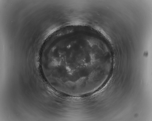 X0000098231213200804241333