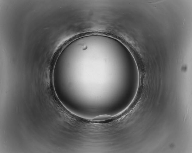 X0000098231214200804241333