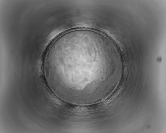 X0000098231215200804241333