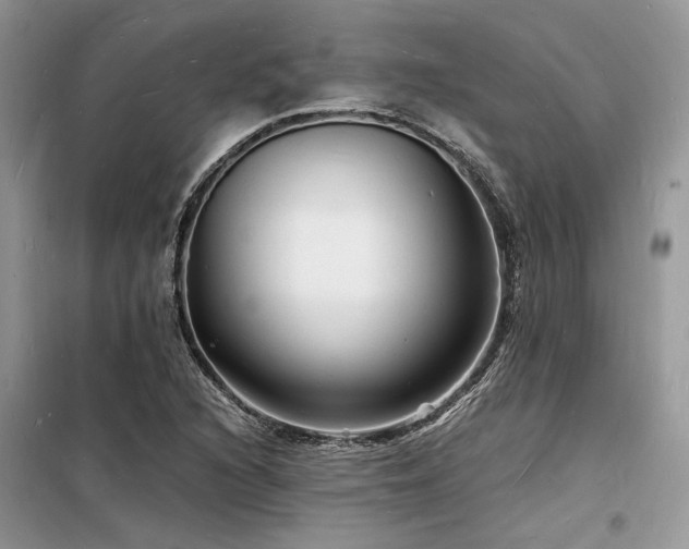 X0000098231216200804241333