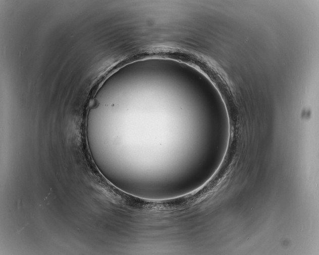 X0000098231217200804241333