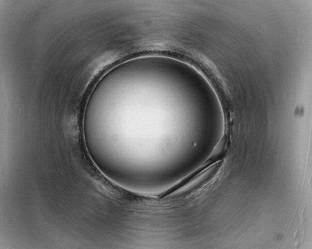 X0000098231218200804241333