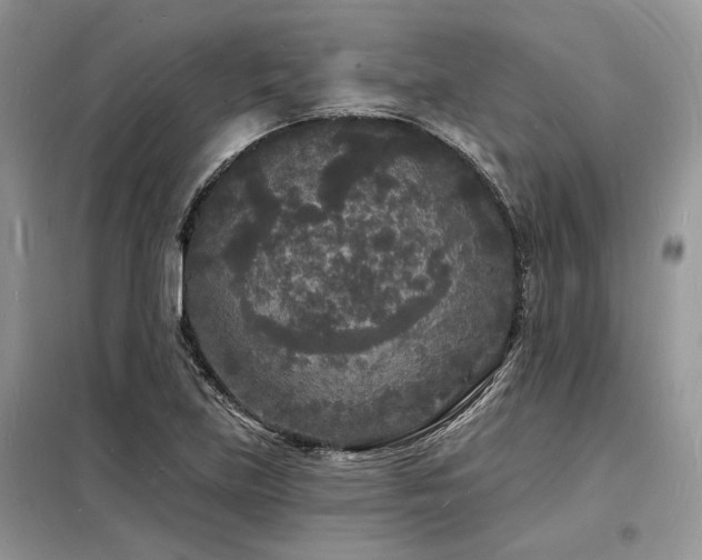 X0000098231219200804241333