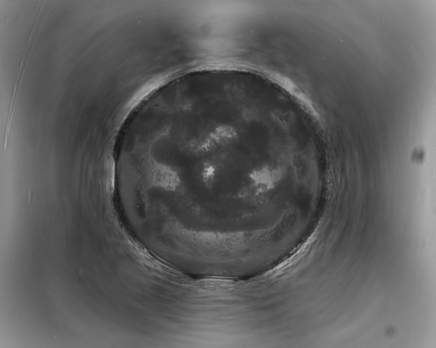 X0000098231221200804241333