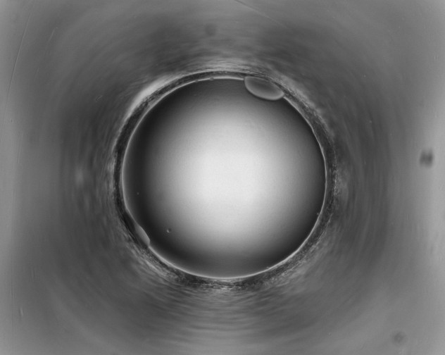 X0000098231222200804241333