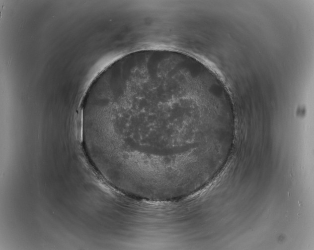 X0000098231223200804241333