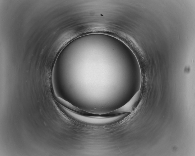 X0000098231225200804241333