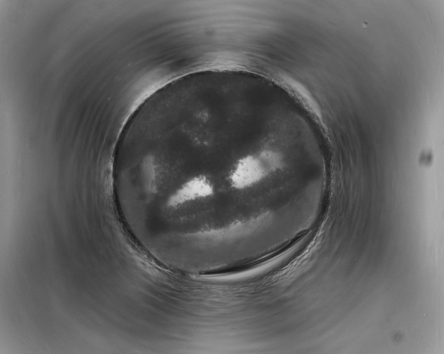 X0000098231226200804241333