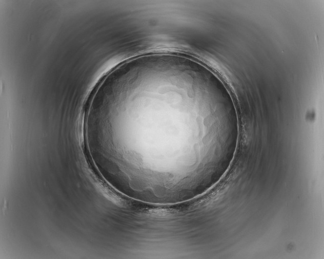 X0000098231227200804241333