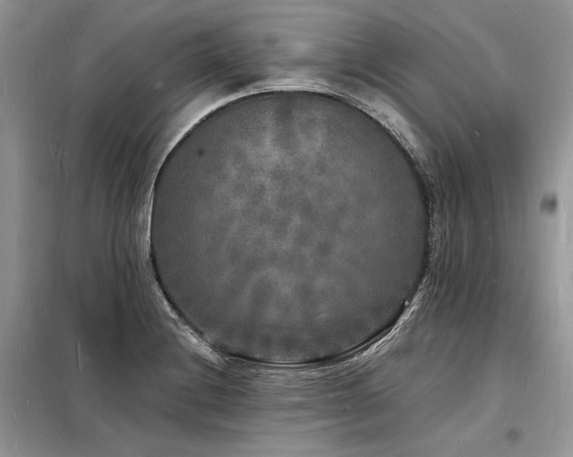 X0000098231228200804241333