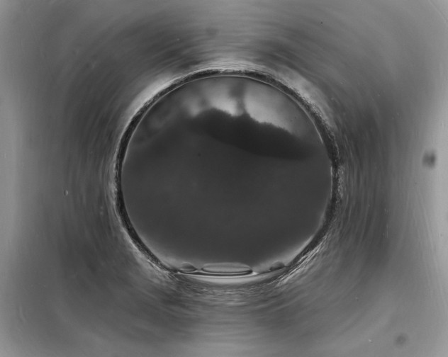 X0000098231229200804241333