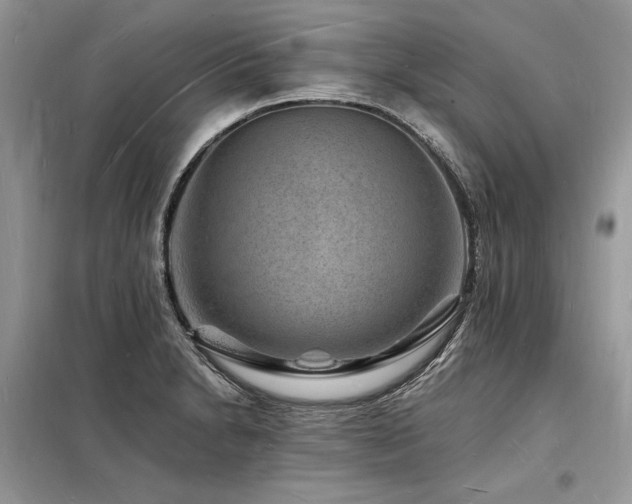 X0000098231230200804241333