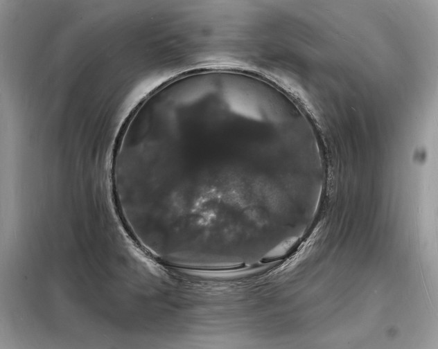 X0000098231231200804241333