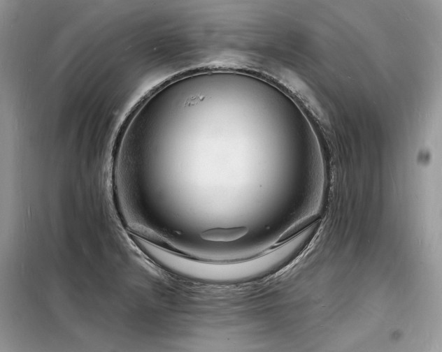 X0000098231232200804241333