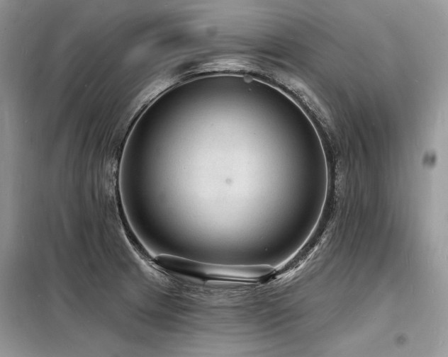 X0000098231233200804241333