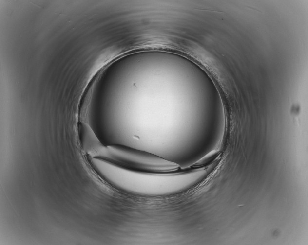 X0000098231234200804241333