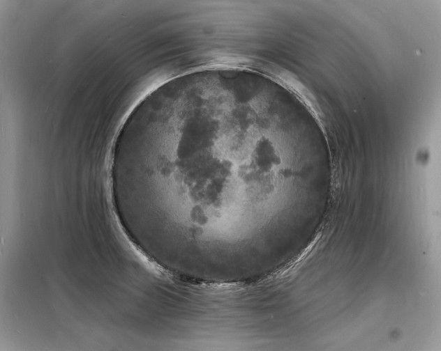 X0000098231235200804241333