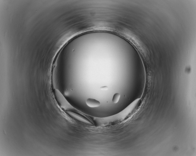 X0000098231236200804241333