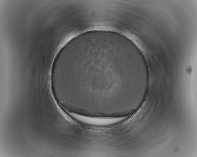 X0000098231237200804241333