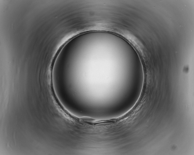 X0000098231238200804241333
